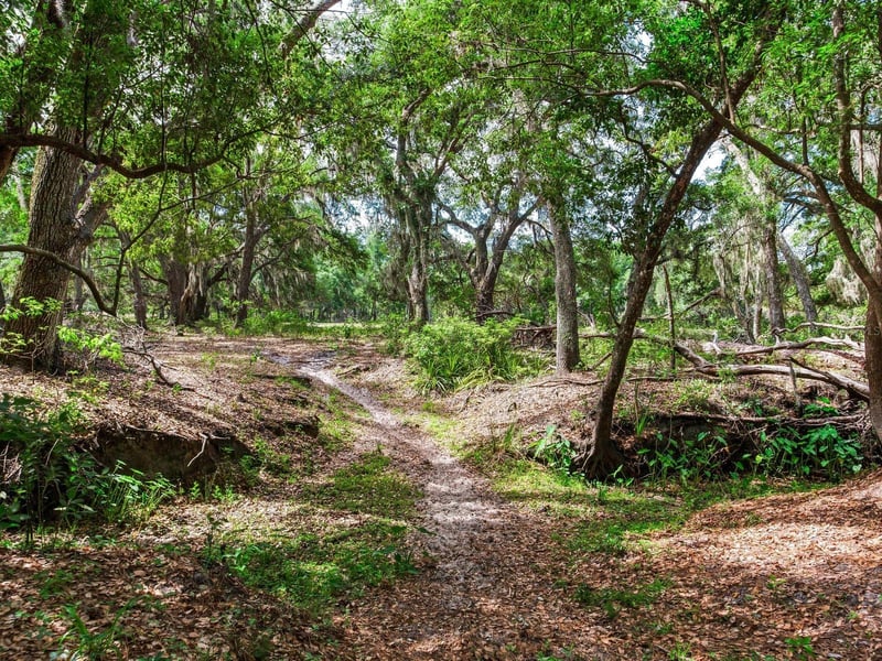, Thonotosassa, FL 33592