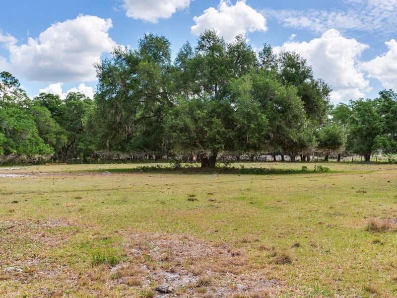 , Thonotosassa, FL 33592