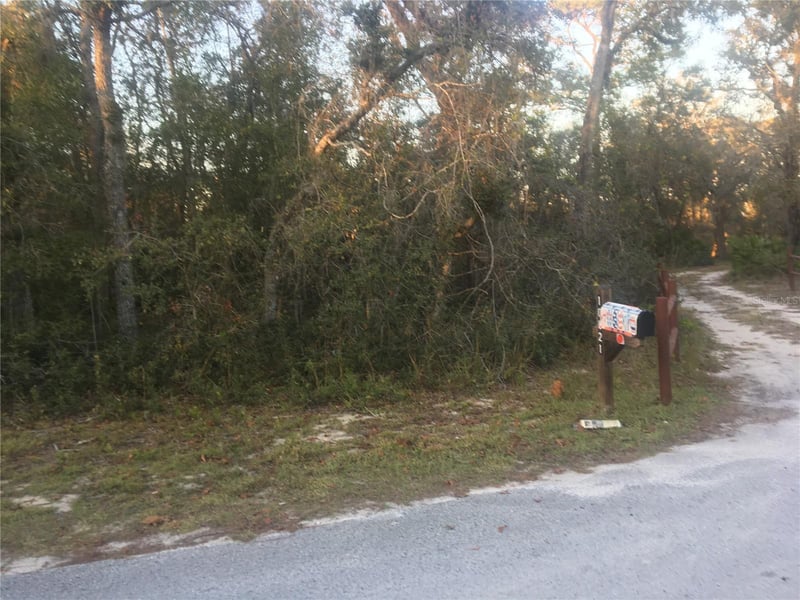 Kim Ln, Hudson, FL 34669