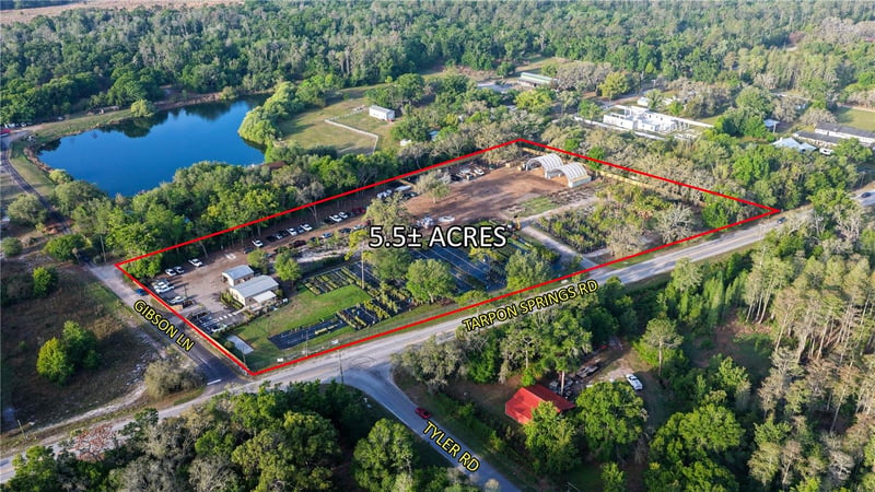 12980 Tarpon Springs Rd, Odessa, FL 33556