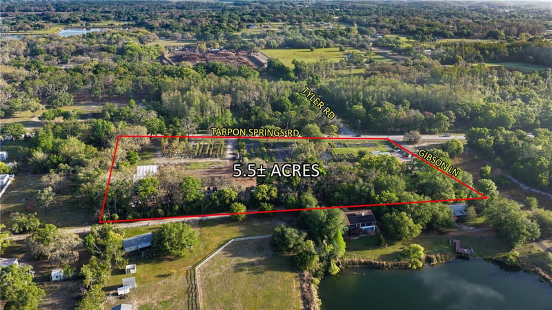 12980 Tarpon Springs Rd, Odessa, FL 33556