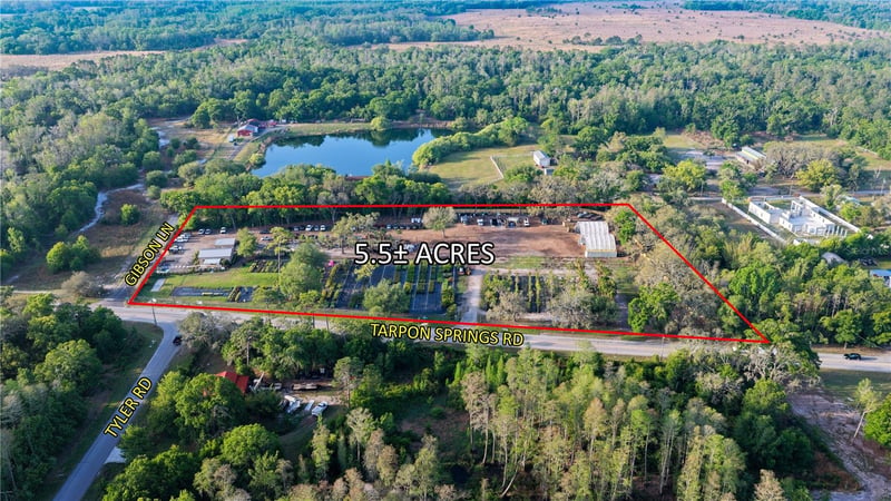 12980 Tarpon Springs Rd, Odessa, FL 33556