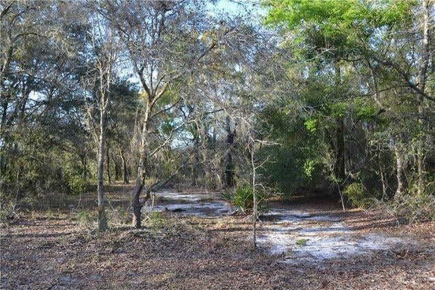 Grandville , Hudson, FL 34669