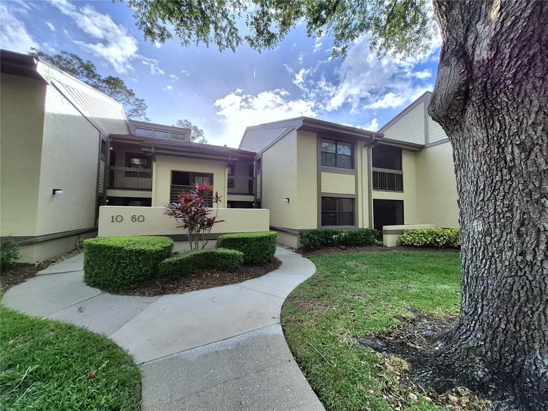 50 Woodlake Pl, Oldsmar, FL 34677