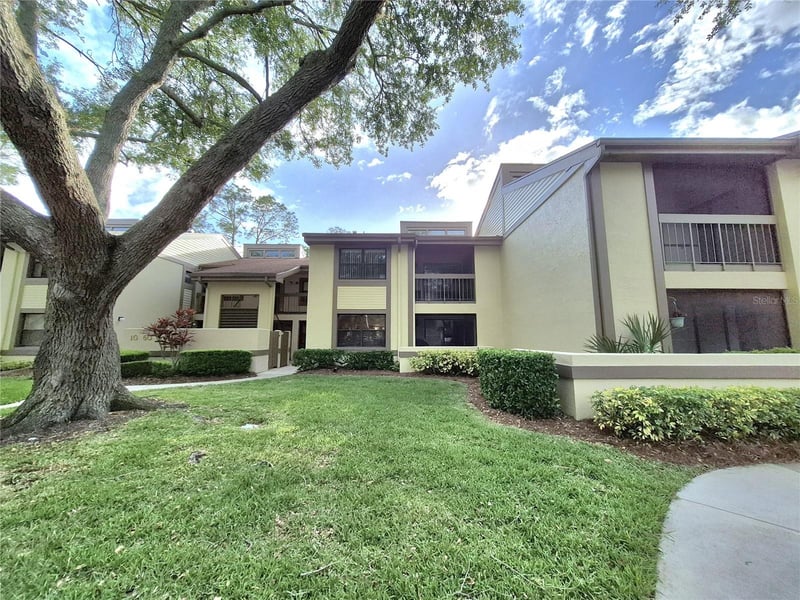 50 Woodlake Pl, Oldsmar, FL 34677