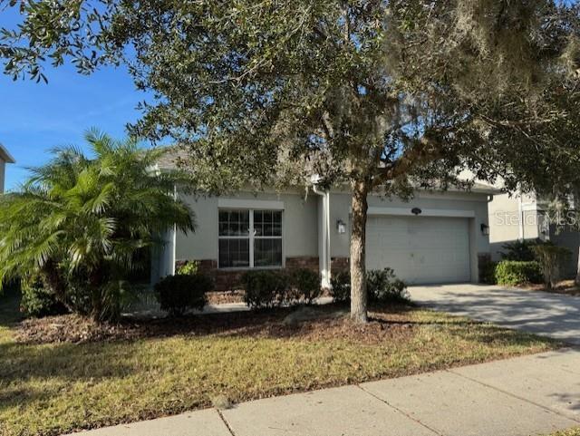 10662 Pictorial Park Dr, Tampa, FL 33647
