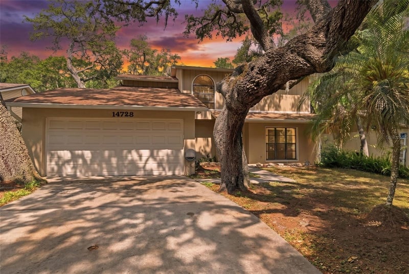 14728 Tall Tree Dr, Lutz, FL 33559