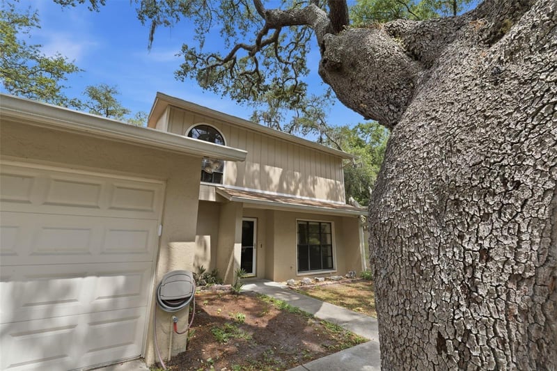 14728 Tall Tree Dr, Lutz, FL 33559
