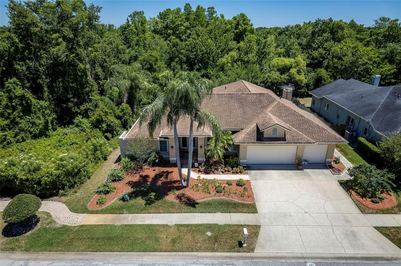 22754 Magnolia Trace Blvd, Lutz, FL 33549