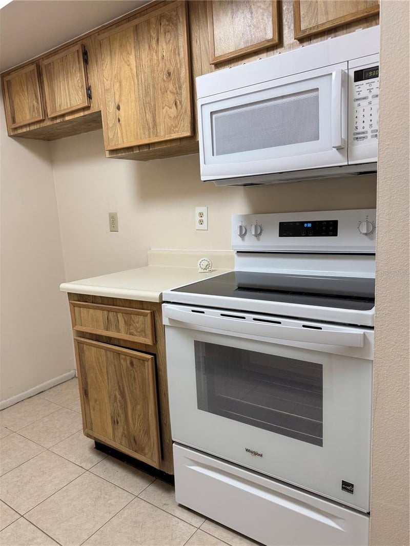 4033 Dream Oak Pl #101, Tampa, FL 33613