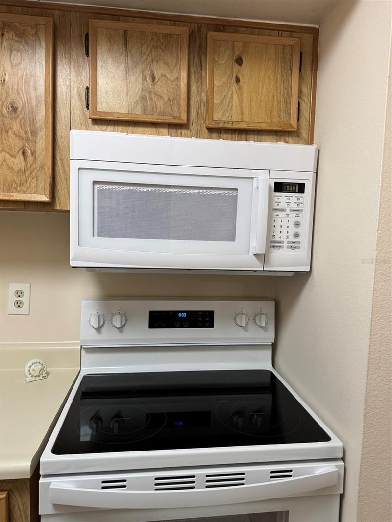 4033 Dream Oak Pl #101, Tampa, FL 33613