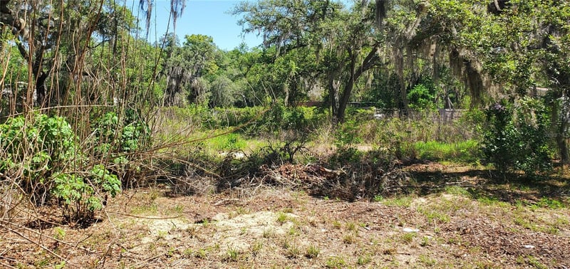 11939 Bemont Ave, New Port Richey, FL 34654