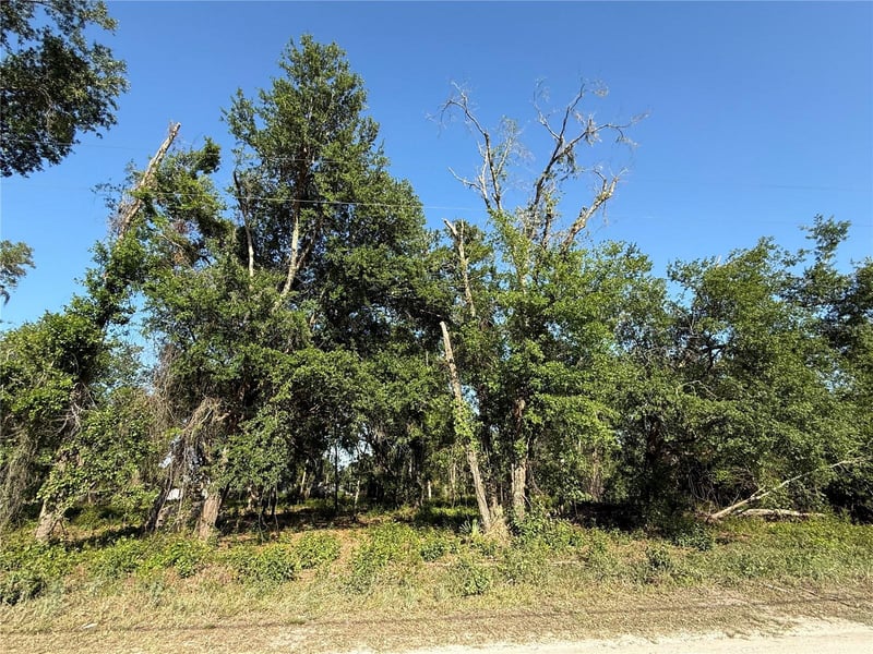 null Owens Dr, Zephyrhills, FL 33540