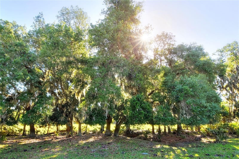 , Lithia, FL 33547