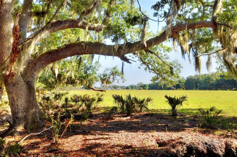 , Lithia, FL 33547