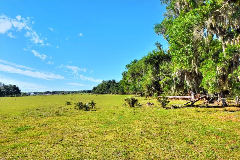 , Lithia, FL 33547
