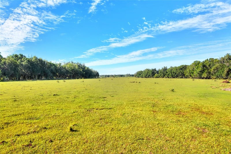 , Lithia, FL 33547