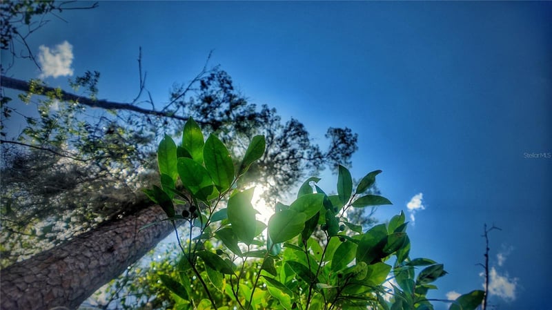Lot 0370 , New Port Richey, FL 34654