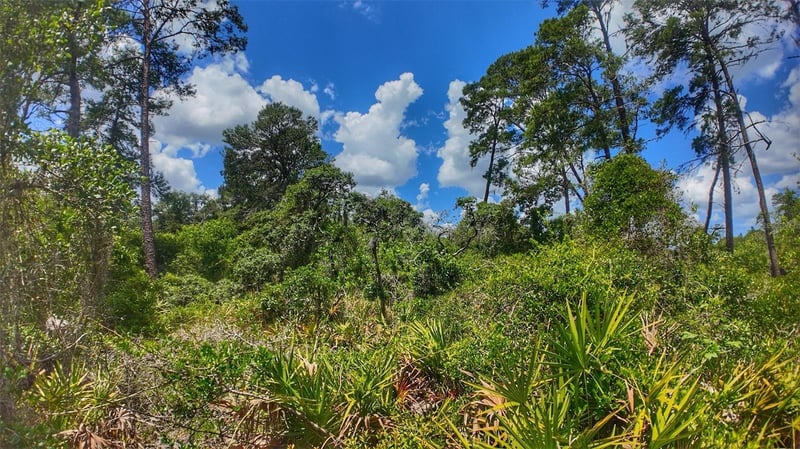 Lot 0370 , New Port Richey, FL 34654