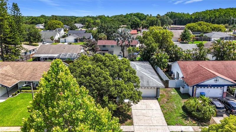 2825 Wendover Ter, Palm Harbor, FL 34685