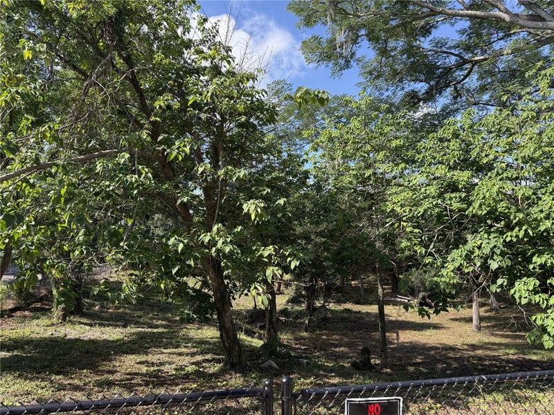 521 Clay Ave, Brandon, FL 33510