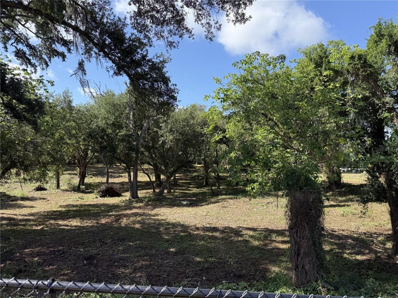 521 Clay Ave, Brandon, FL 33510