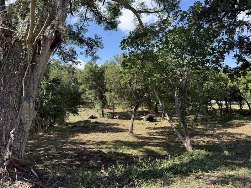 521 Clay Ave, Brandon, FL 33510