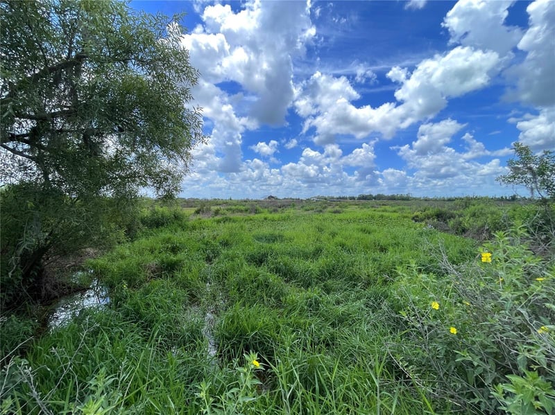 Wauchula Rd, Myakka City, FL 34251