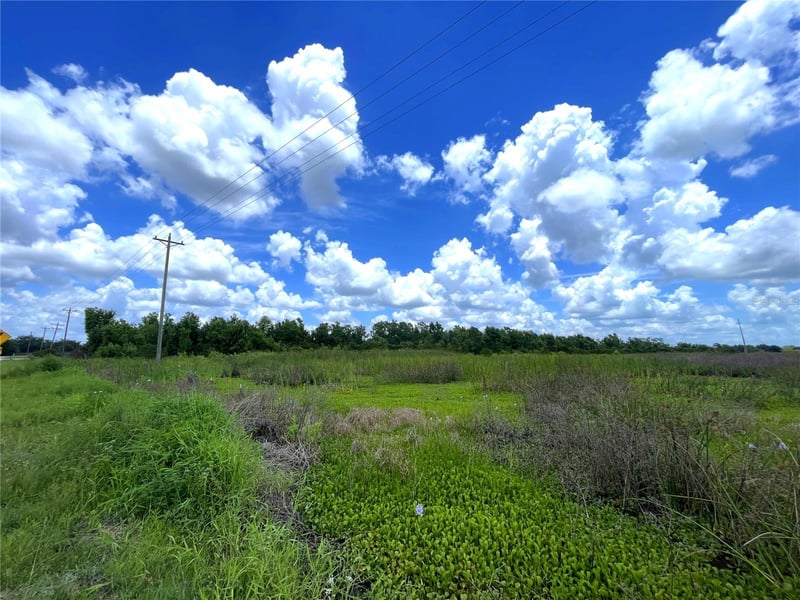 Wauchula Rd, Myakka City, FL 34251