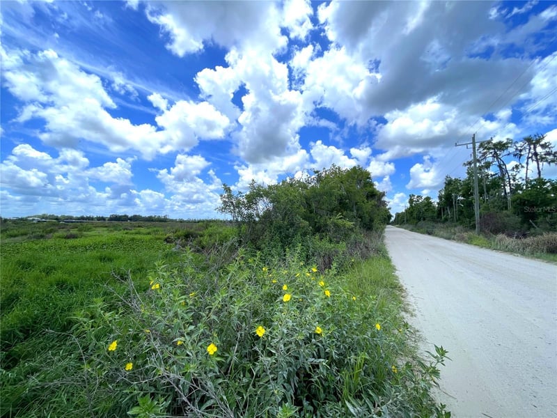Wauchula Rd, Myakka City, FL 34251
