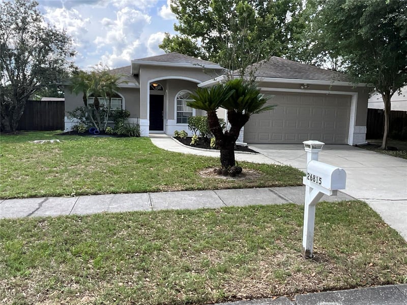 26815 Roseann Pl, Lutz, FL 33559