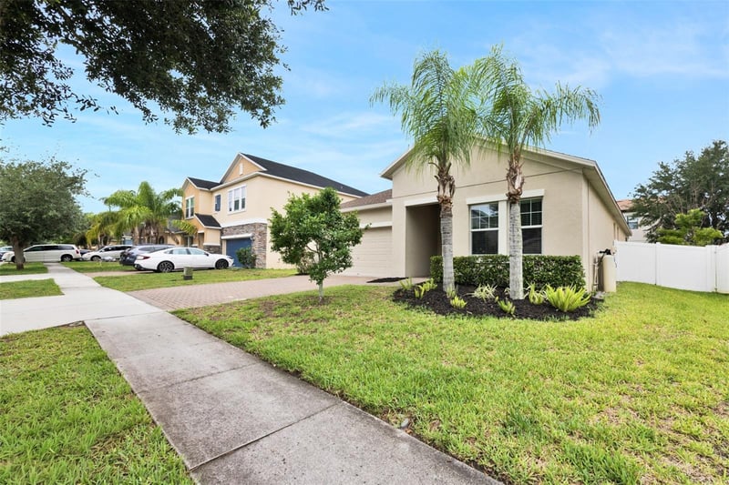 3116 Calvano Dr, Land O Lakes, FL 34639