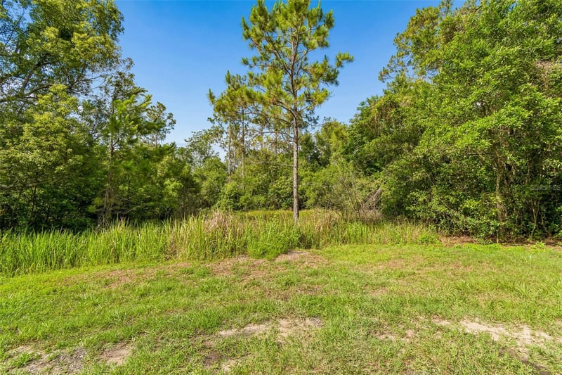 00 Hamrich , Dade City, FL 33525
