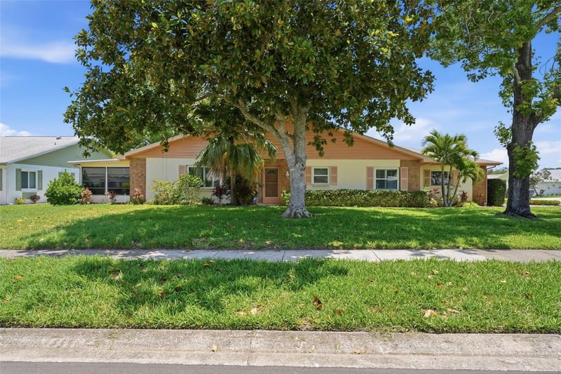 3251 Mcmath Dr, Palm Harbor, FL 34684