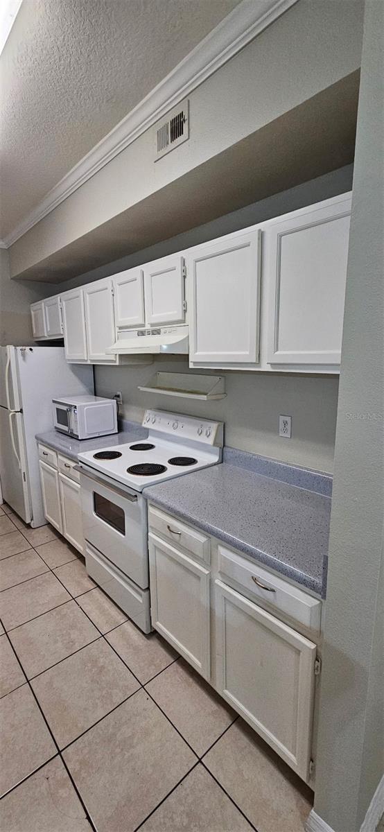 5618 Pinnacle Heights Cir #309, Tampa, FL 33624