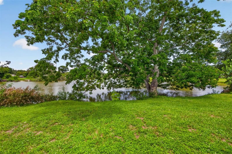 6819 Meadowlawn Dr, St Petersburg, FL 33702