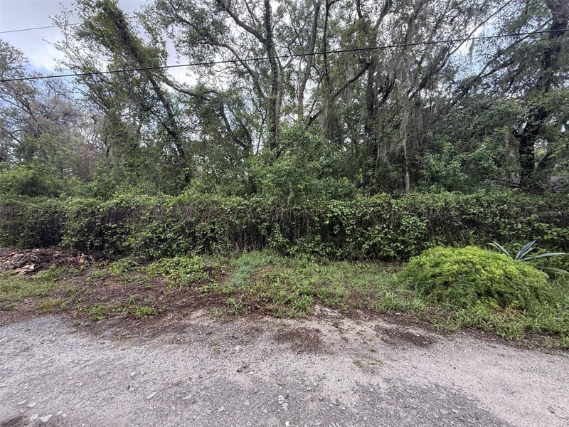 10934 Leon St, New Port Richey, FL 34654
