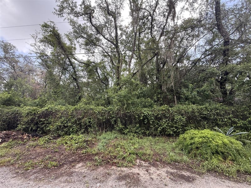 10934 Leon St, New Port Richey, FL 34654