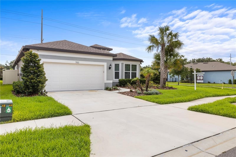 783 Little Cloud Pl, Valrico, FL 33594