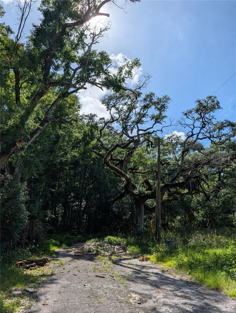 TBD Kiowa , New Port Richey, FL 34654