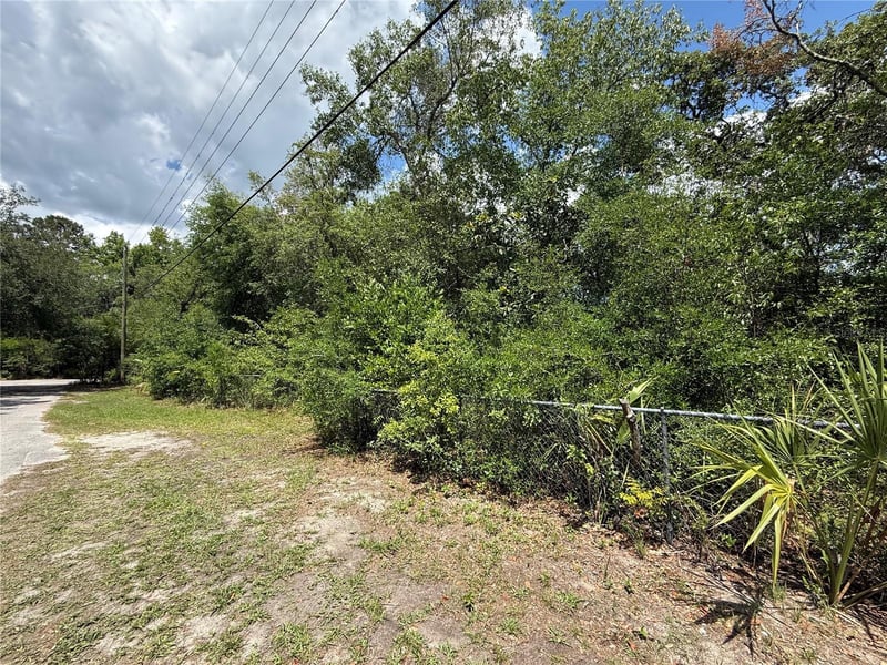 11748 Turkey Ln, New Port Richey, FL 34654