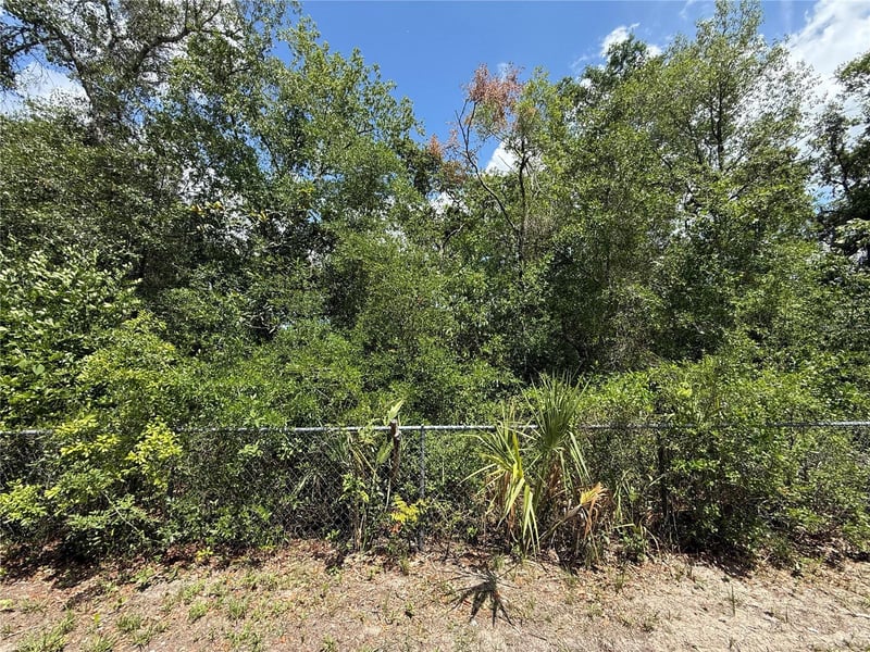 11748 Turkey Ln, New Port Richey, FL 34654