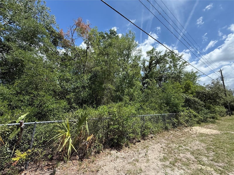 11748 Turkey Ln, New Port Richey, FL 34654