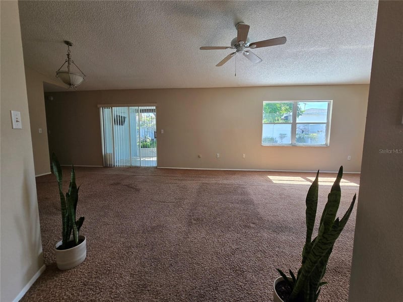 9836 Morehead Ln, Port Richey, FL 34668