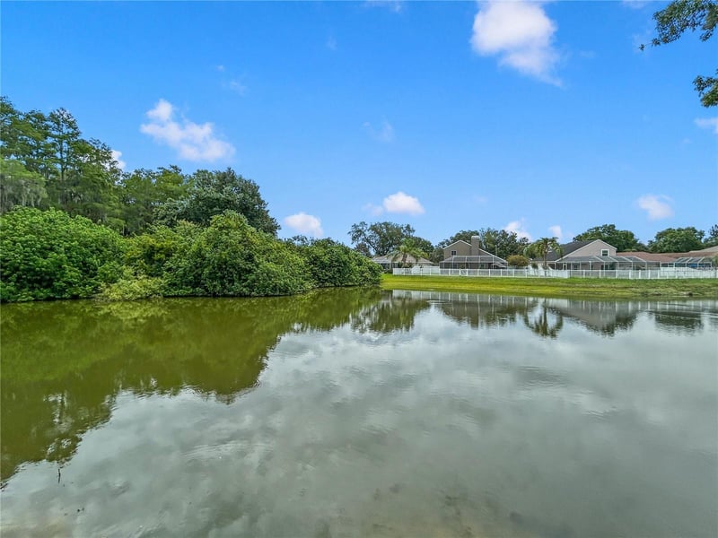 4842 Wellbrook Dr, New Port Richey, FL 34653