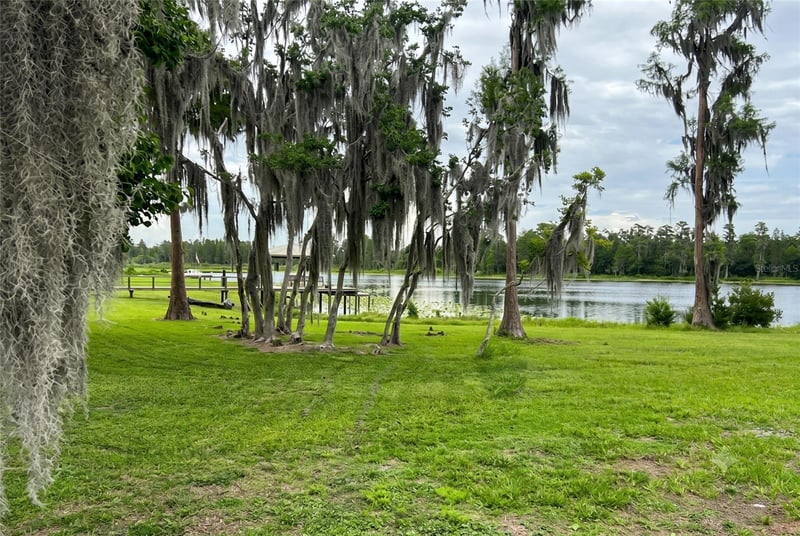 19165 Pease Pl, Lutz, FL 33558