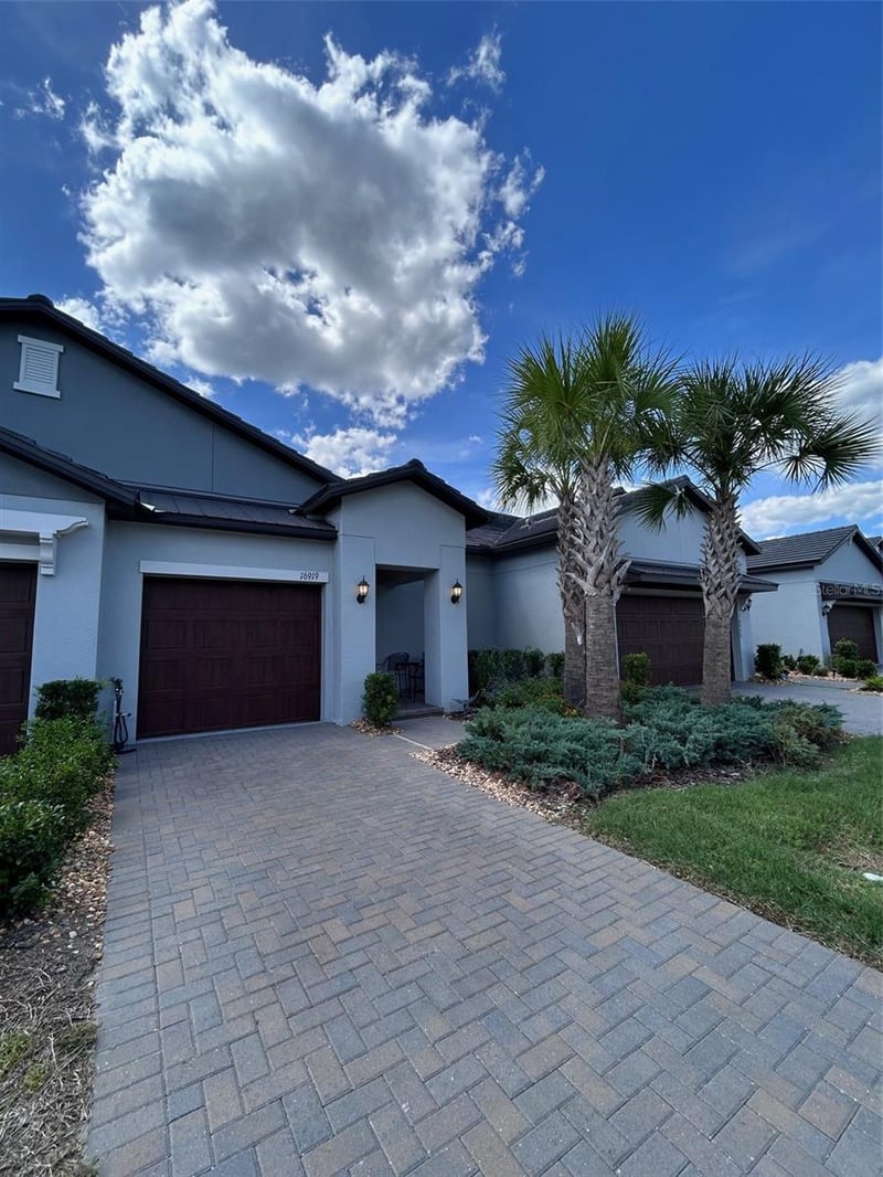 16919 Forge Surf St, Land O Lakes, FL 34638