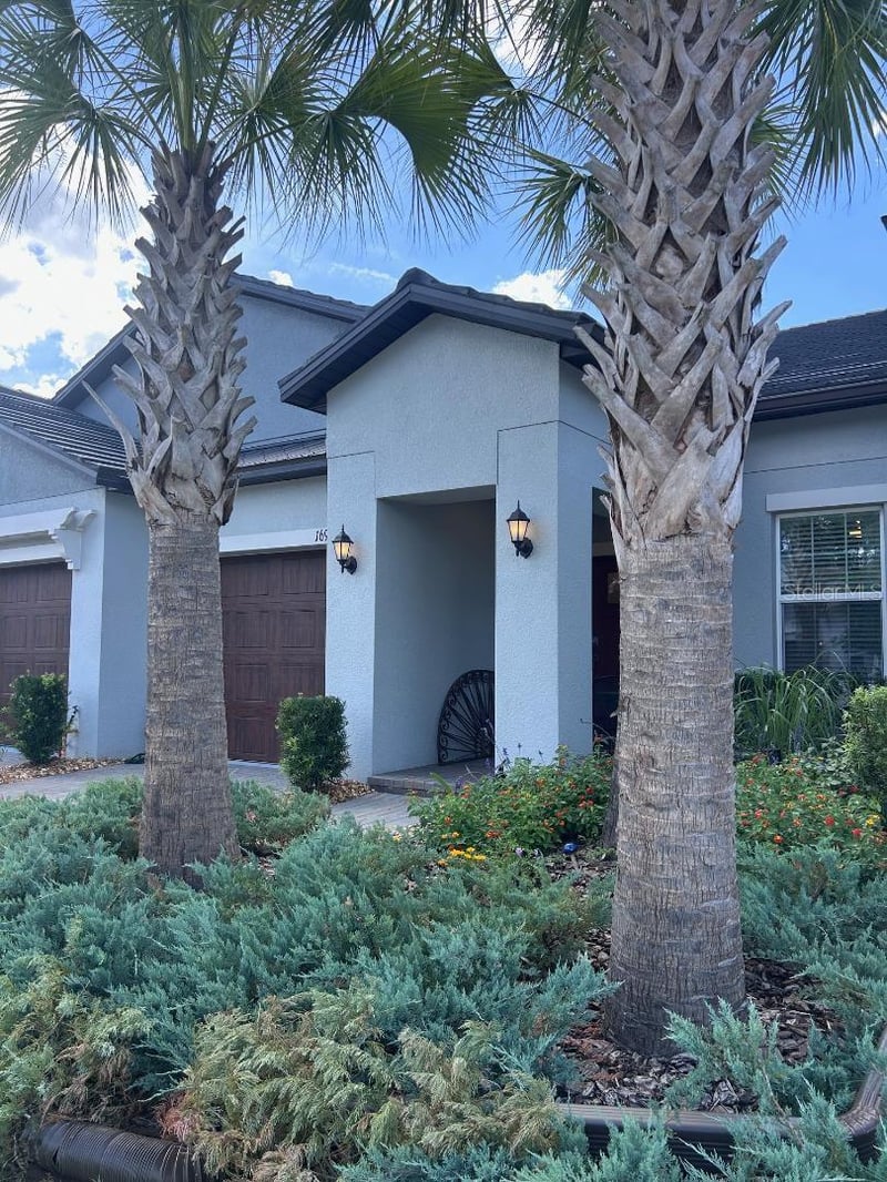 16919 Forge Surf St, Land O Lakes, FL 34638