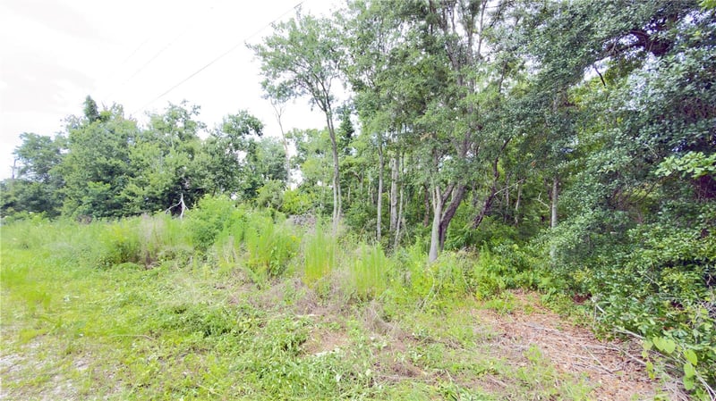 7402 Land Dr, Wesley Chapel, FL 33545