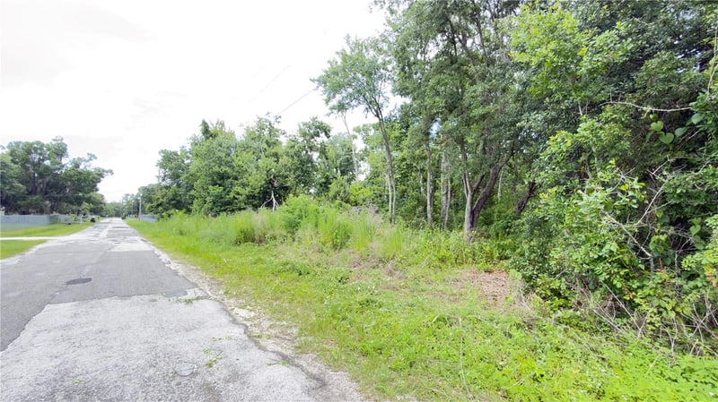 7402 Land Dr, Wesley Chapel, FL 33545
